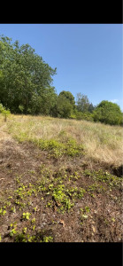 Photo de galerie - Débroussaillage d’un terrain pas entretenu depuis 3 ans 