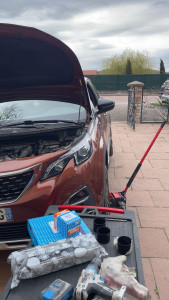 Photo de galerie - Révision 