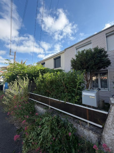 Photo de galerie - Voici, un avant d'un jardin mal entretenu