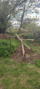 Photo de galerie - Arbre fragile et dangereux