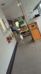 Photo de galerie - Nettoyage de crèche