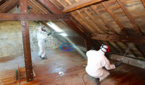 Photo de galerie - Traitement charpente 