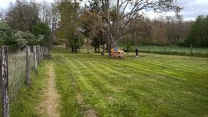 Photo de galerie - Tonte de pelouse - Débroussaillage