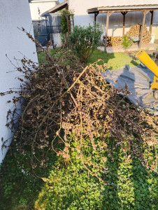 Photo de galerie - Broyage...fini la déchetterie 