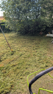 Photo de galerie - Débroussaillage herbe haute