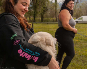 Photo de galerie - Disponible pour garder vos chiens peu importe la race, c’est toujours un moment de bonheur pour moi d’être entourée de chiens ? 