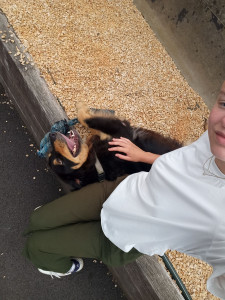 Photo de galerie - Baby-sitting la journée ou en soirée pour vo enfants.
Vous aviez des animaux, pas de problème il sont aussi chouchouter 