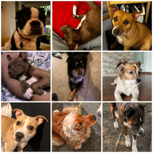 Photo de galerie - ✨