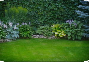 Photo de galerie - Voici la pelouse d’un client après 3 mois d’entretien de notre part. Tonte régulière et arrosage selon la météo. 