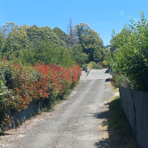 Photo de galerie - Jardinier