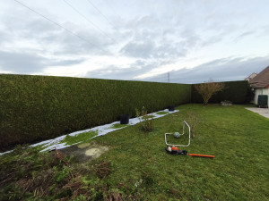 Photo de galerie - Entretien de jardin, taille de haie 
