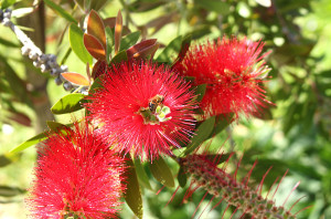 Photo de galerie - Jardin de la Marine