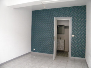 Photo de galerie - Nettoyage et peinture après départ locataire 