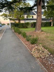 Photo de galerie - Paysagiste - Aménagement du jardin