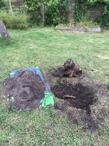 Photo de galerie - Dessoucheuse / Rogneuse