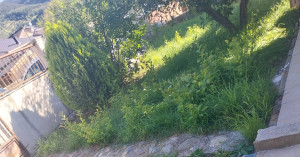 Photo de galerie - Petit coup de propre -avant