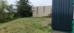 Photo de galerie - Tonte de pelouse - Débroussaillage