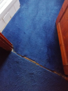 Photo de galerie - Nettoyage moquette 