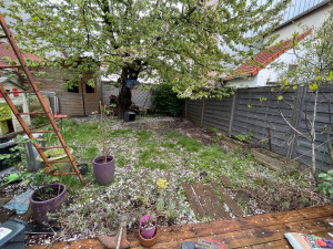 Photo de galerie - Aménagement avec le bordure et sème de graines (avant)