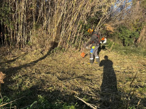 Photo de galerie - Tonte de pelouse - Débroussaillage