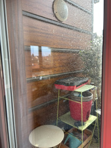 Photo de galerie - Nettoyeur de vitres