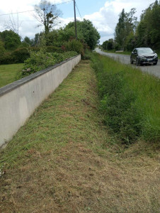Photo de galerie - Après debrousaillage 