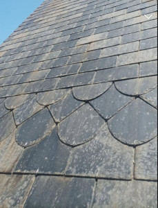 Photo de galerie - Couverture - Toiture