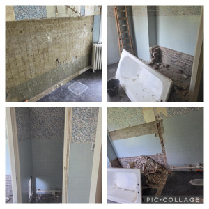 Photo de galerie - Demolissage et debarassage 