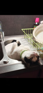 Photo de galerie - Là.. c'est Lisaha ! (ma LisaChou ❤️)
. elle a l'air trop malheureuse, non ? ??