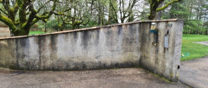 Photo de galerie - Netoyage et remise en peinture d’un murs très abîmer 