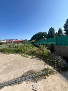 Photo de galerie - Tonte de pelouse - Débroussaillage