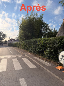 Photo de galerie - Taille et rabattage de haie