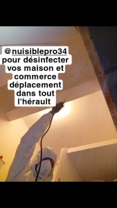 Photo de galerie - Toilettage