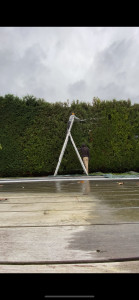 Photo de galerie - Taille d’une haie de six à sept mètres 