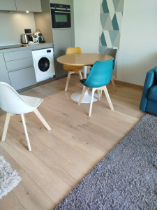 Photo de galerie - Je fais de ménage garde des enfants aide a la personne repassage des courses 