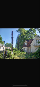 Photo de galerie - Elagage et coupe d'arbres
