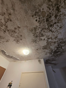 Photo de galerie - Plomberie 
création salle de bain

création cuisine 
service dépannage
réparation après sinistre (dégâts des eaux