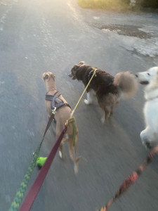 Photo de galerie - Sortie du soir avant dodo