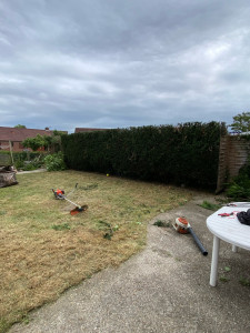 Photo de galerie - Taille de haies et d'arbustes