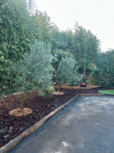 Photo de galerie - Paysagiste - Aménagement du jardin
