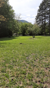 Photo de galerie - Paysagiste - Aménagement du jardin