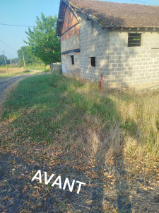 Photo de galerie - B* AVANT débroussaillage 