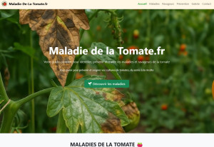 Photo de galerie - Création site internet