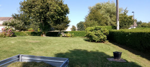 Photo de galerie - Tonte de pelouse - Débroussaillage