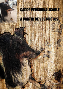 Photo de galerie - Montage photo video