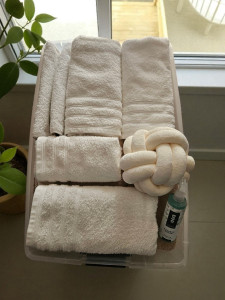 Photo de galerie - Lingerie - Repassage