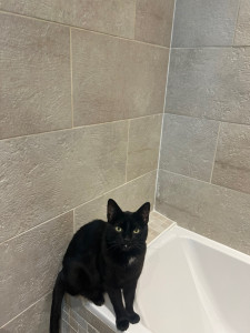 Photo de galerie - Jumpy je l’ai garder 2 semaines ☺️