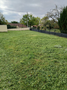 Photo de galerie - Tonte de pelouse - Débroussaillage