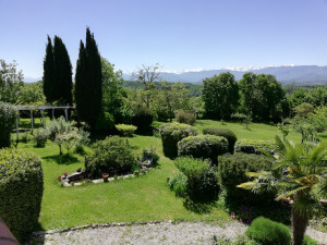 Photo de galerie - Tonte de la pelouse, taille des arbustes, désherbage 