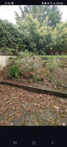 Photo de galerie - Jardinier